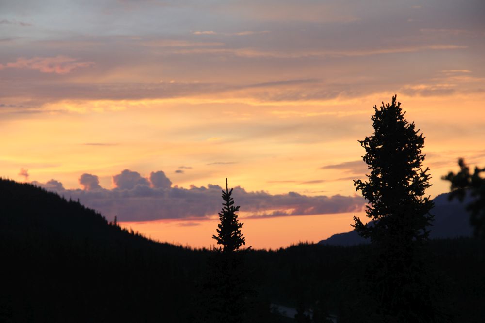 Outlook