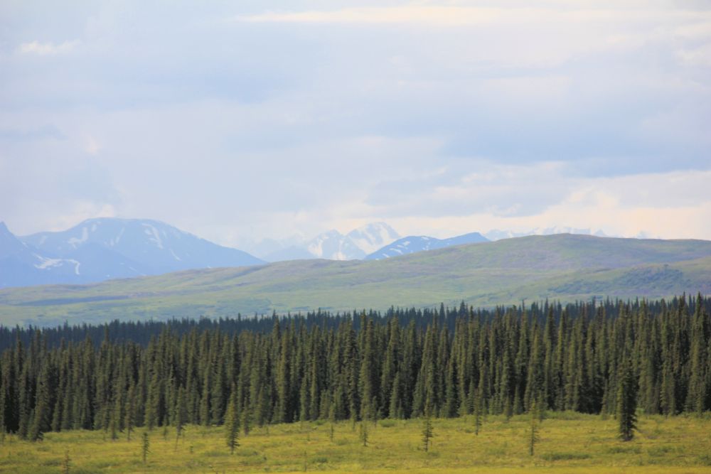 Outlook