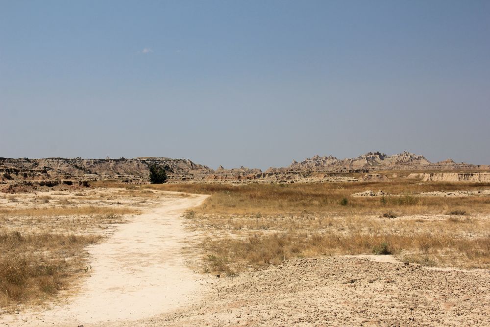 Outlook