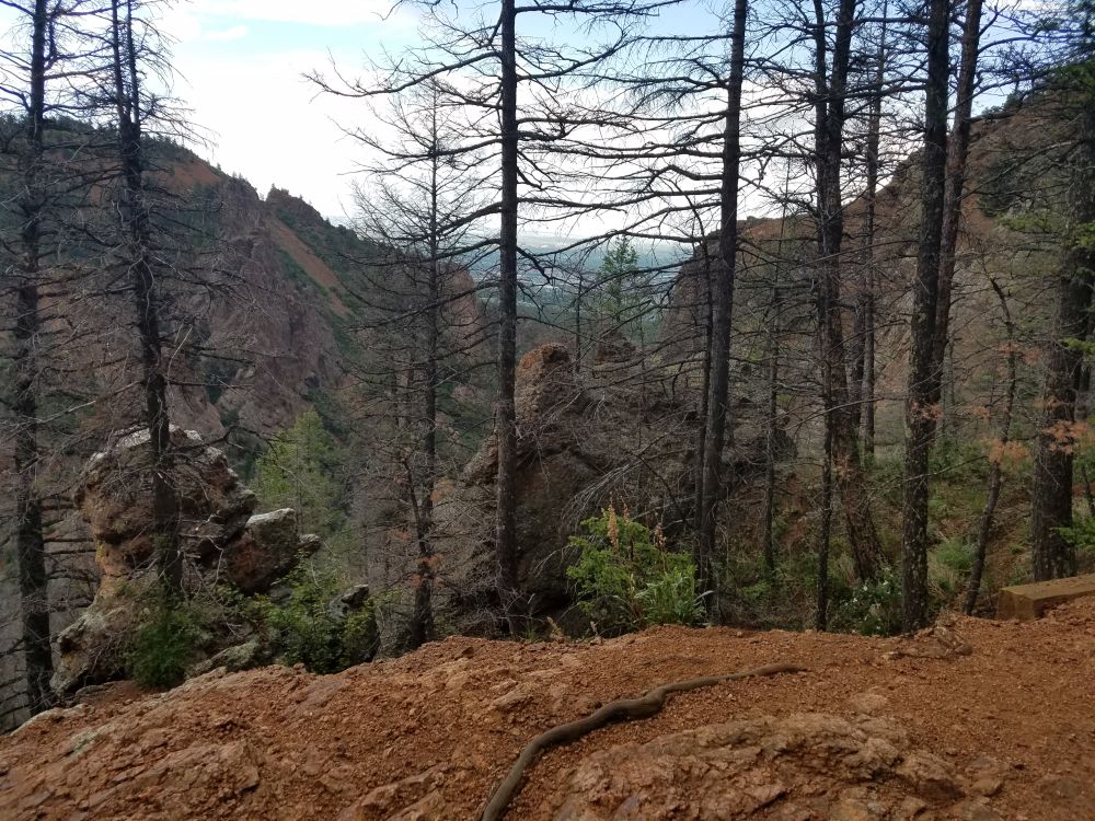 Outlook