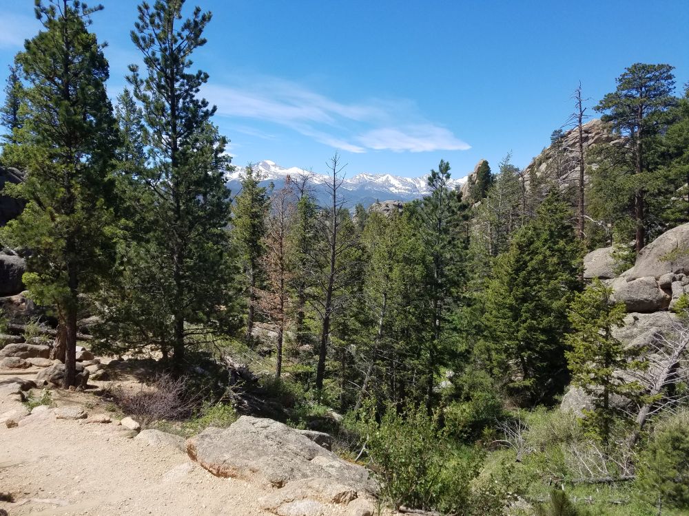 Outlook