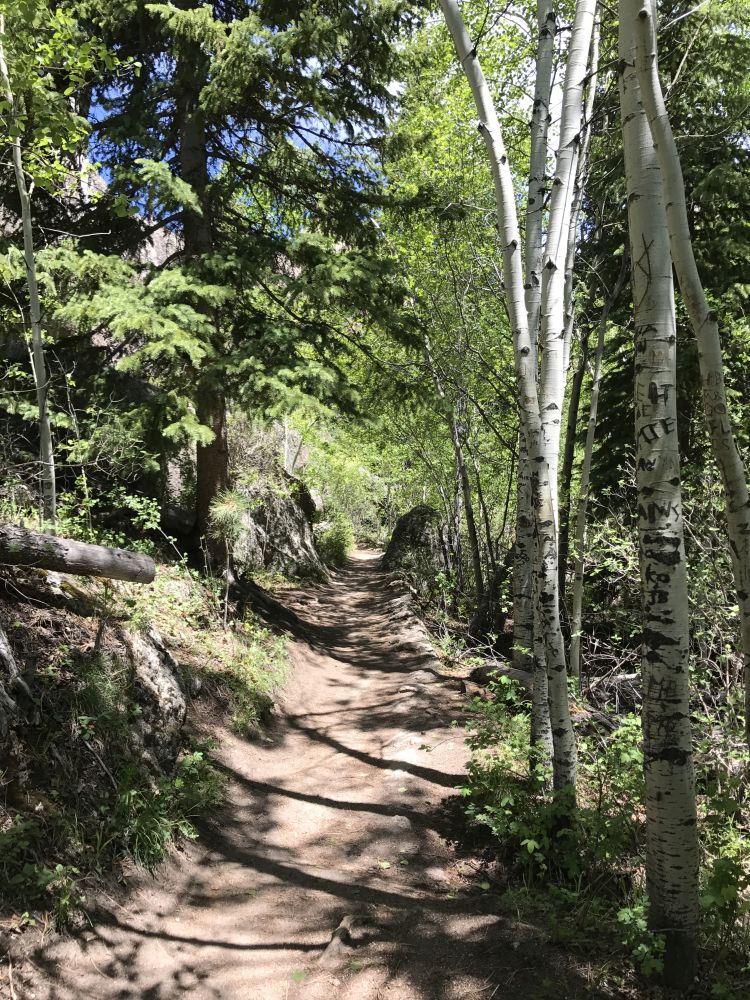 Outlook