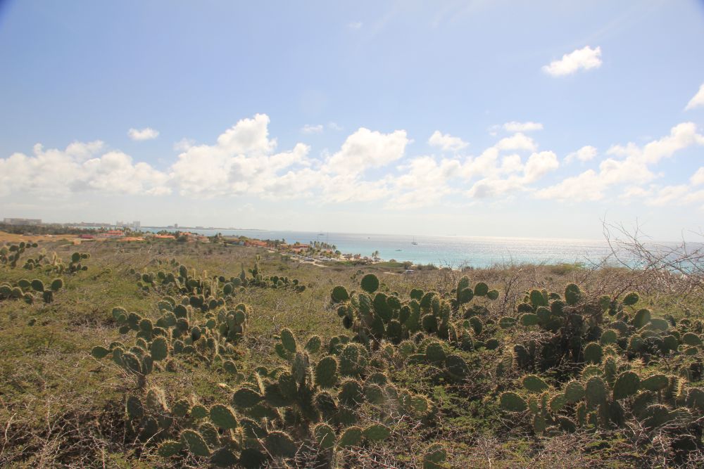 Outlook