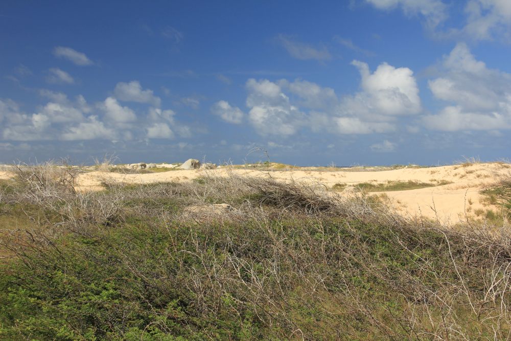 Outlook
