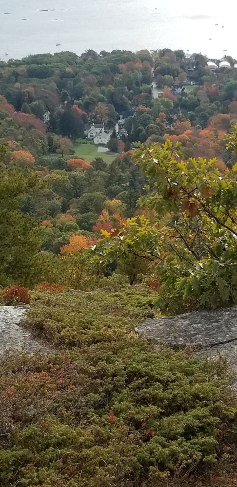 Outlook