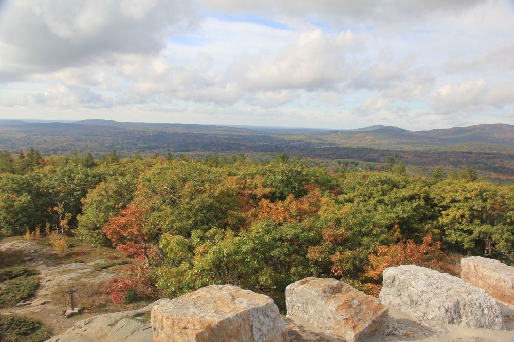 Outlook