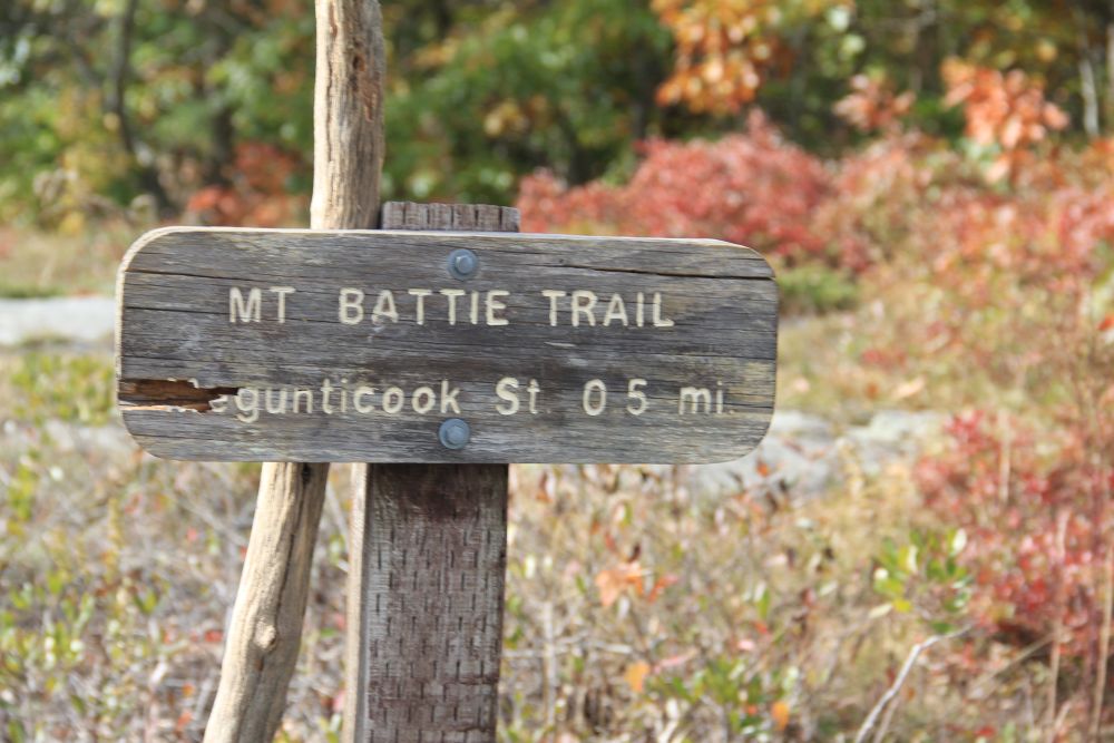 Outlook