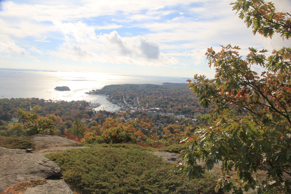 Outlook