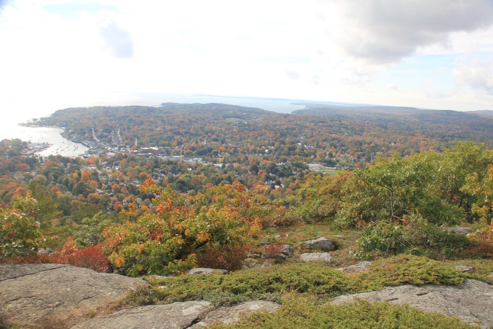 Outlook