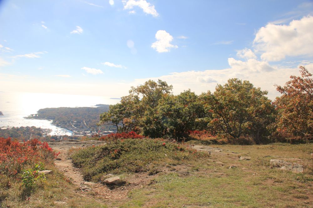 Outlook