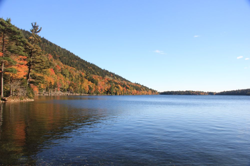 Outlook