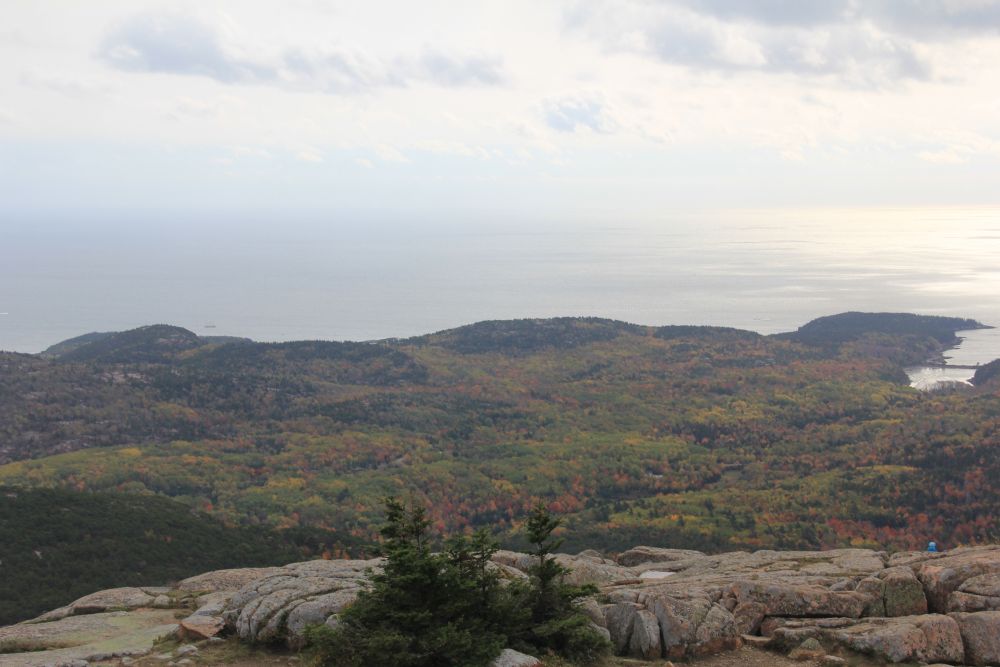 Outlook