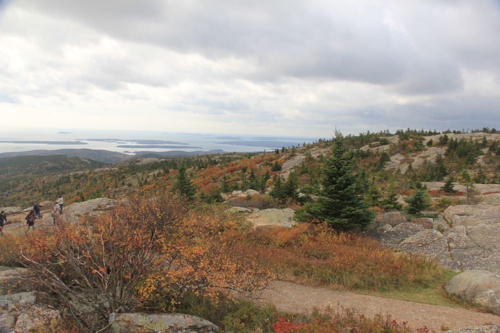 Outlook