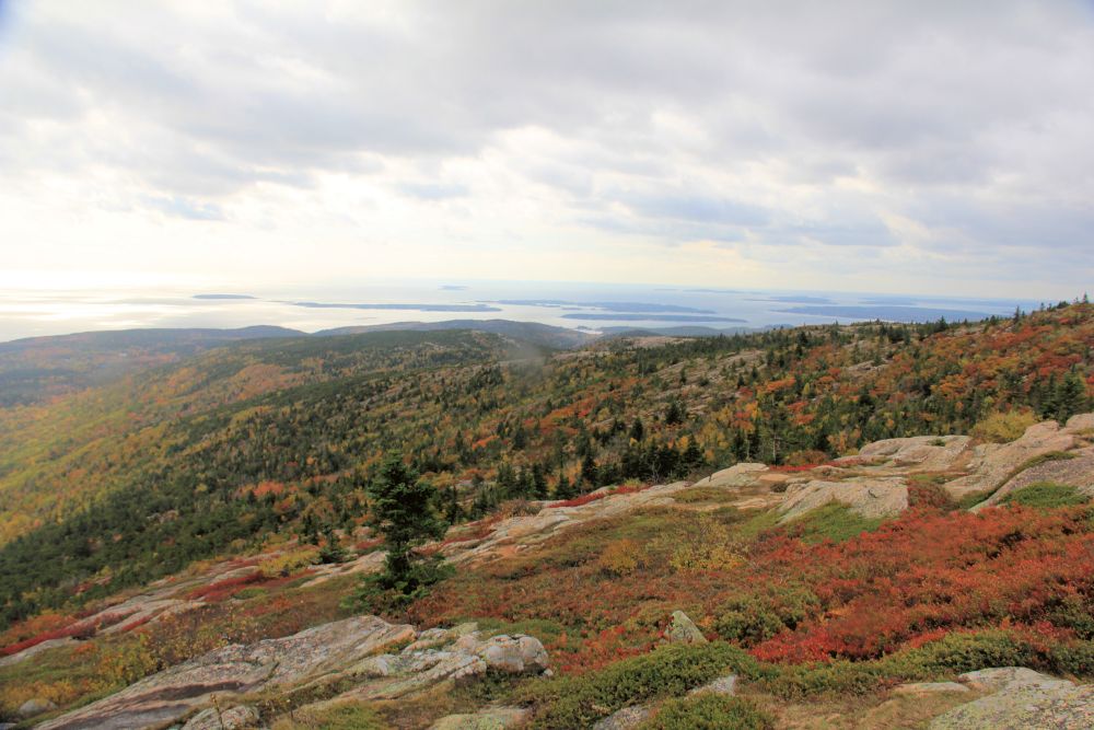 Outlook