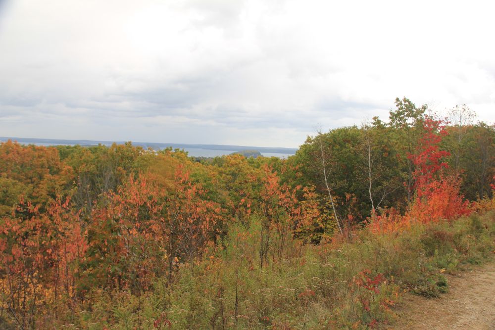 Outlook