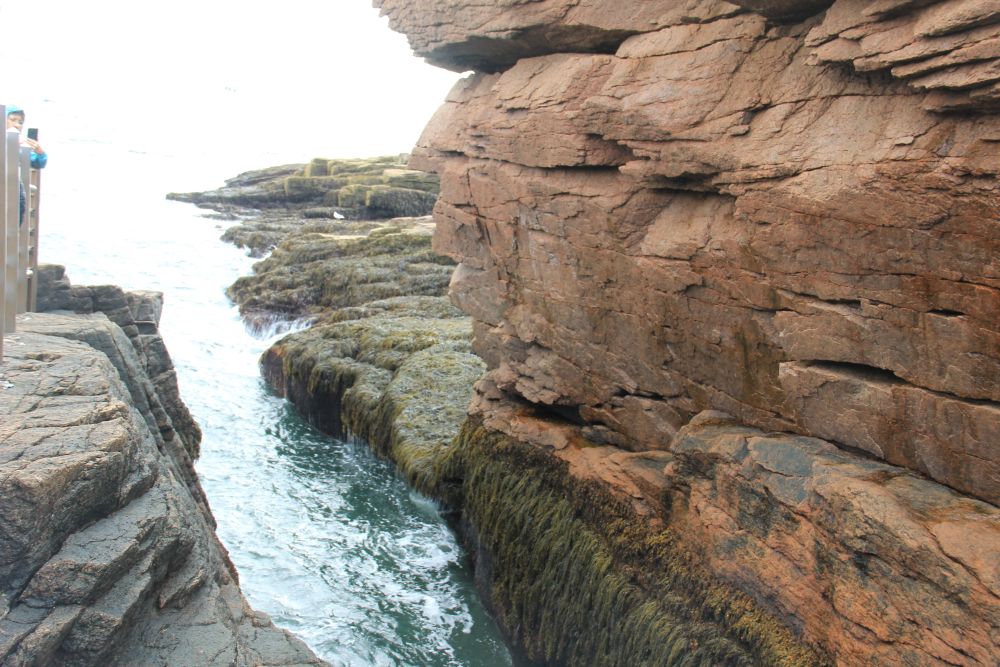 Outlook