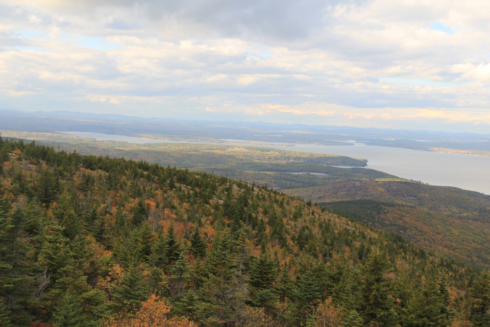 Outlook
