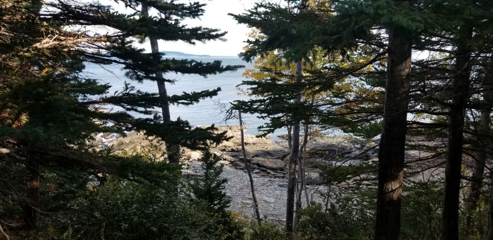 Outlook