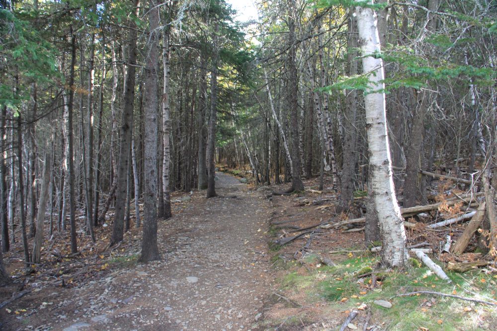 Outlook