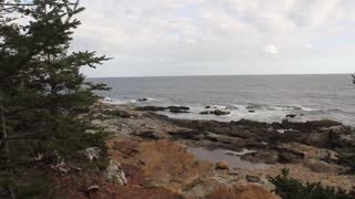 Ocean View Hike