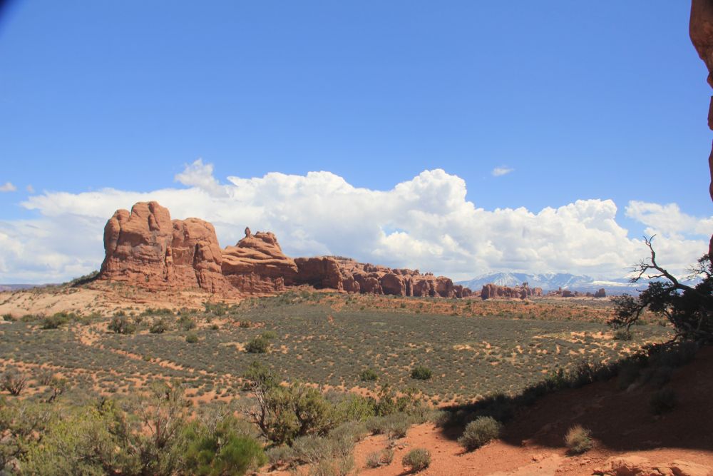 Outlook