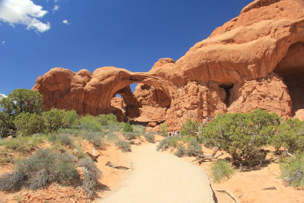 Outlook