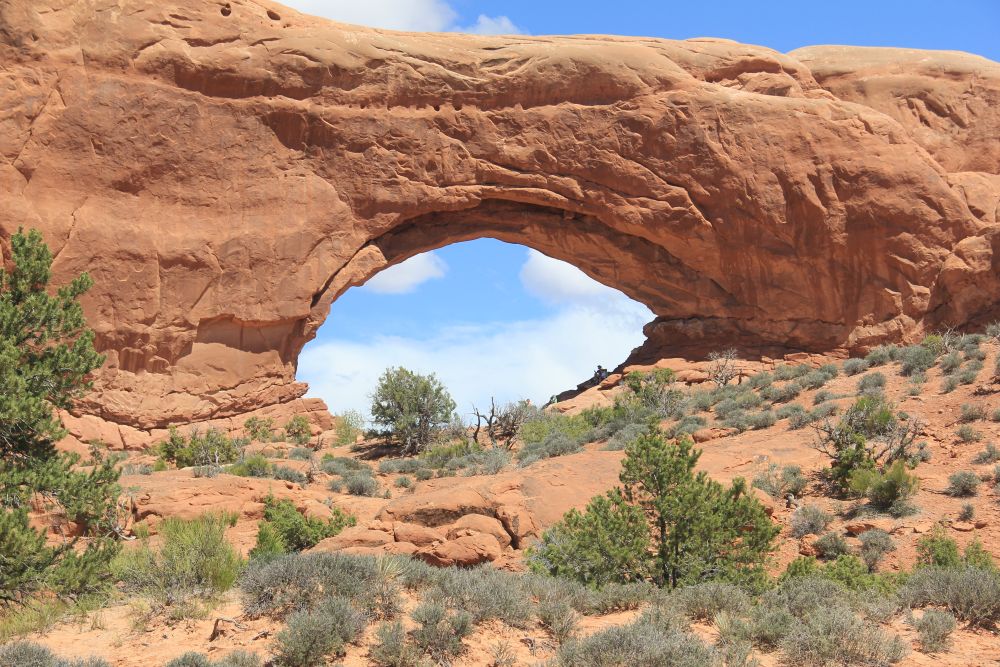 Outlook