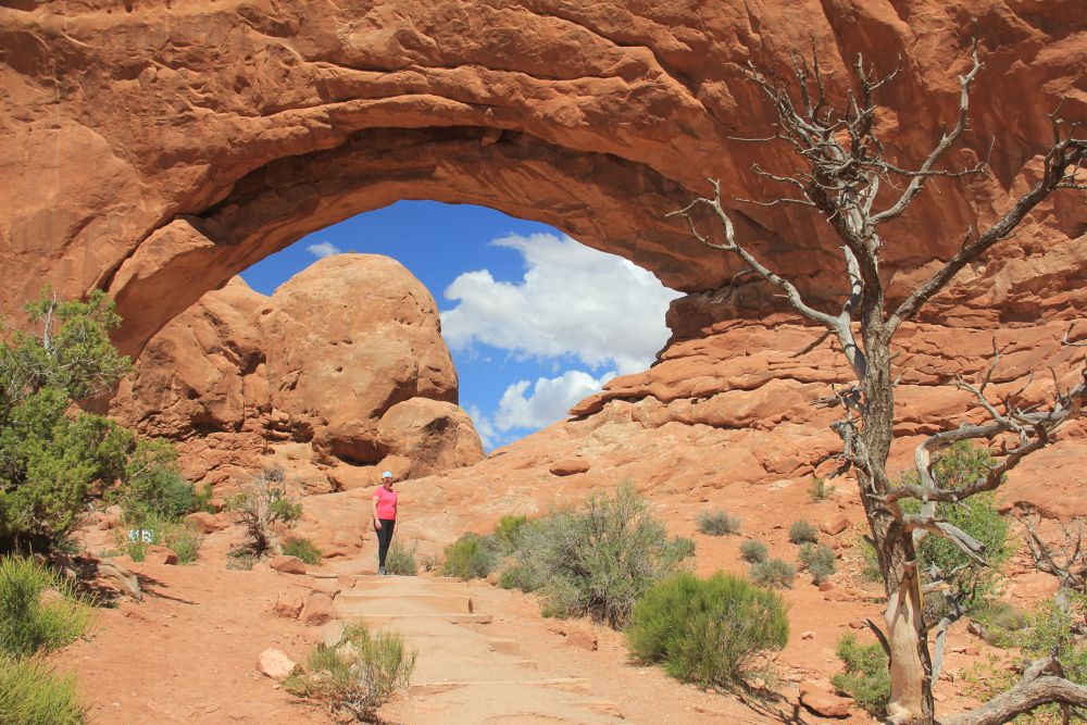 Outlook