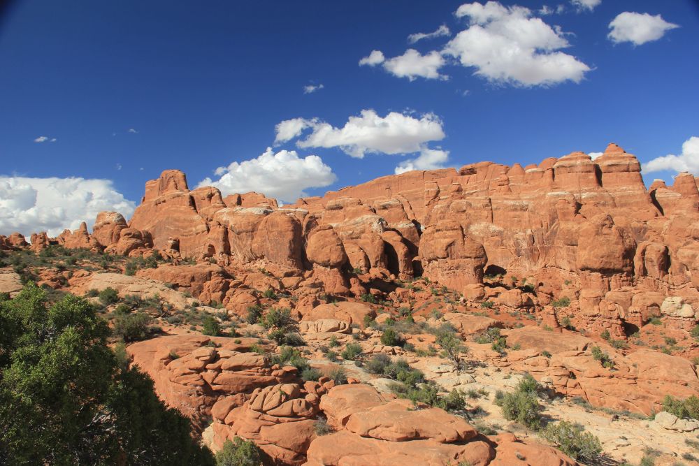 Outlook
