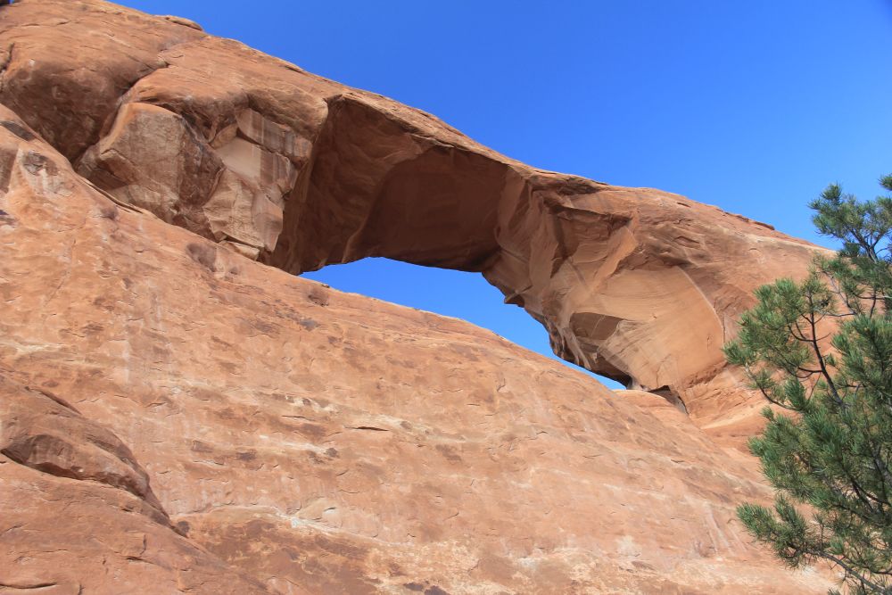 Outlook