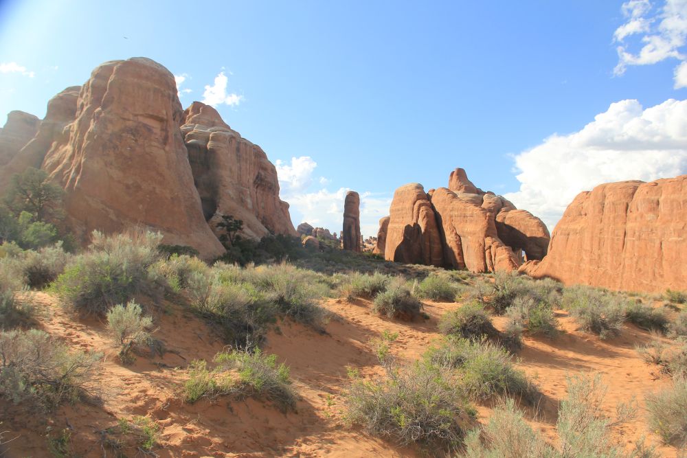 Outlook