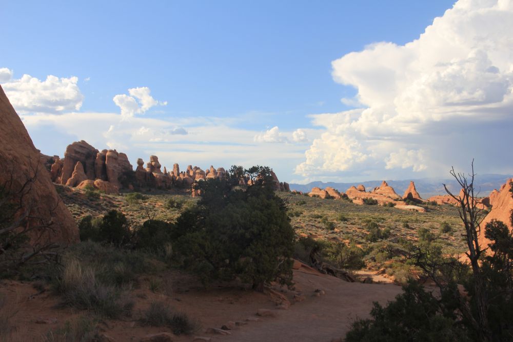 Outlook