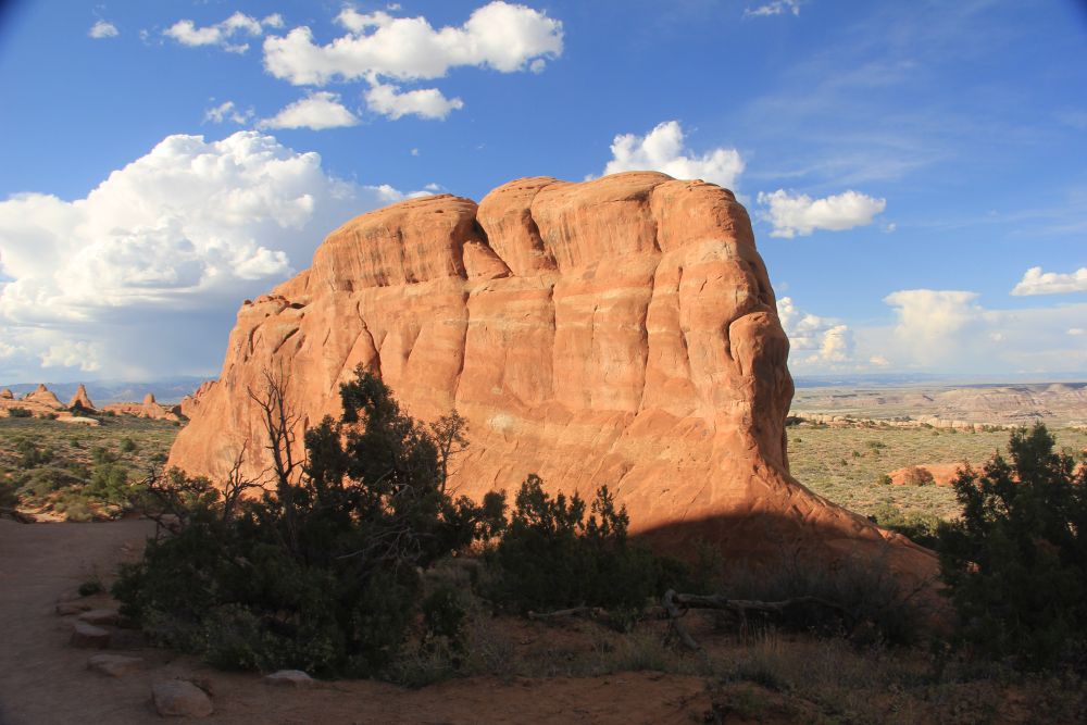 Outlook