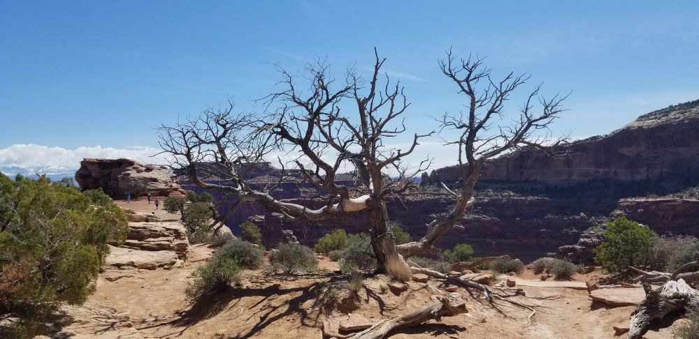 Outlook