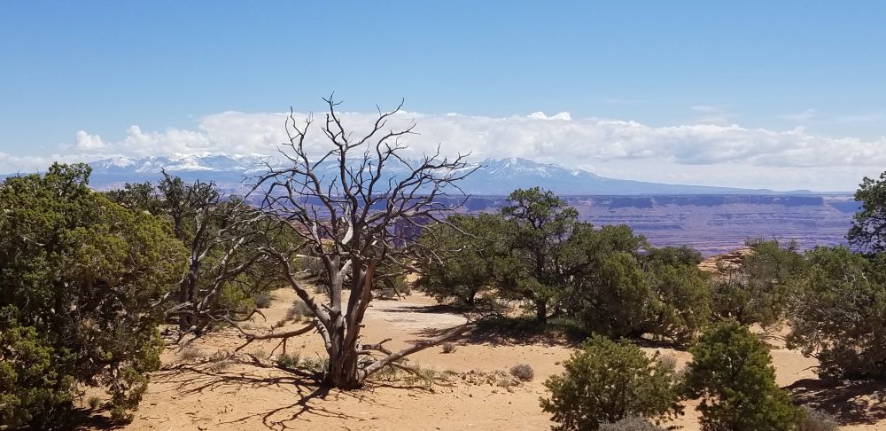 Outlook