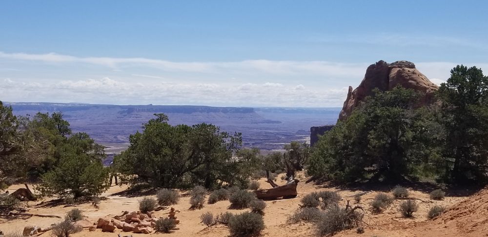 Outlook