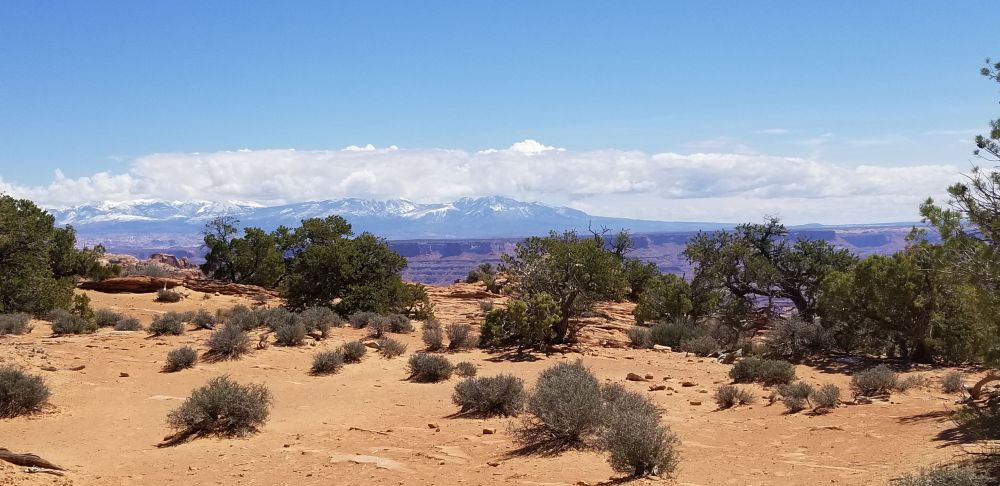 Outlook