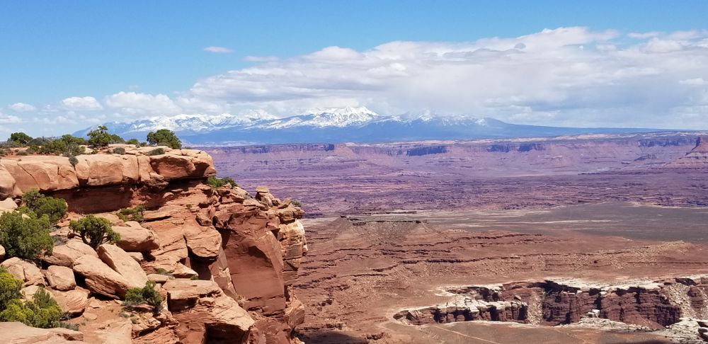 Outlook