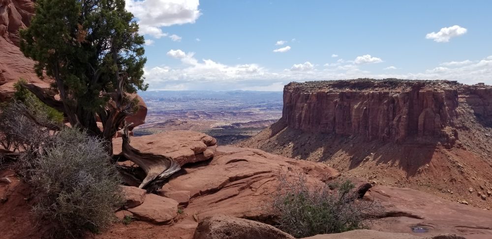 Outlook