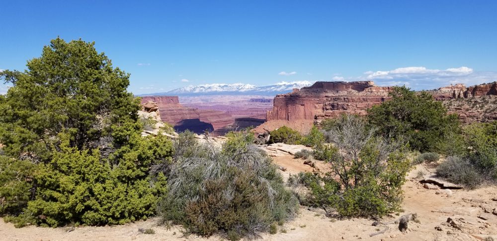 Outlook