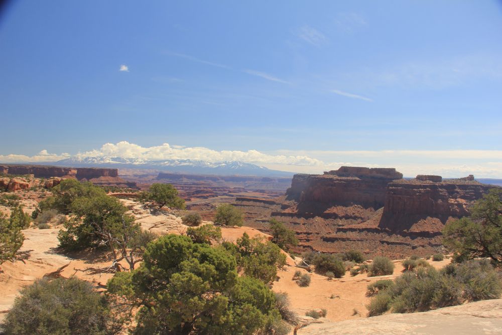 Outlook