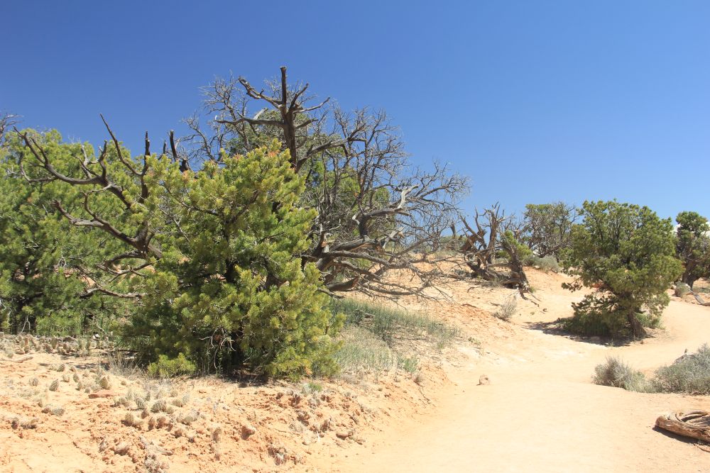 Outlook