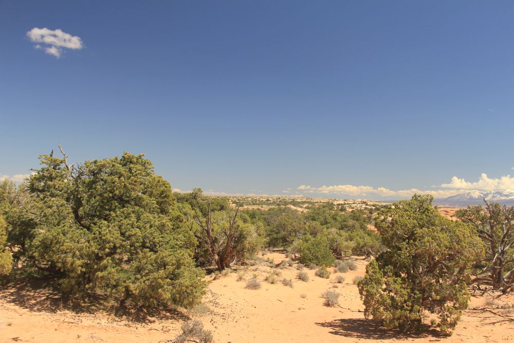 Outlook