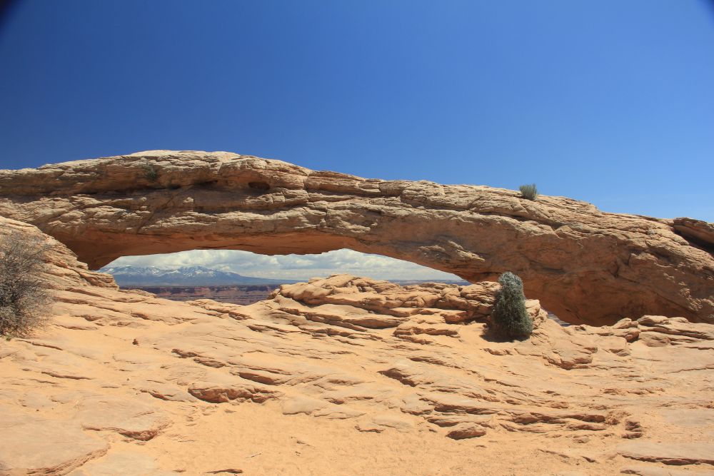 Outlook