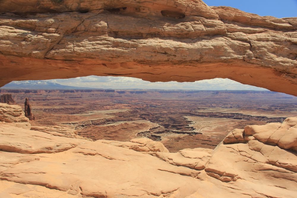 Outlook