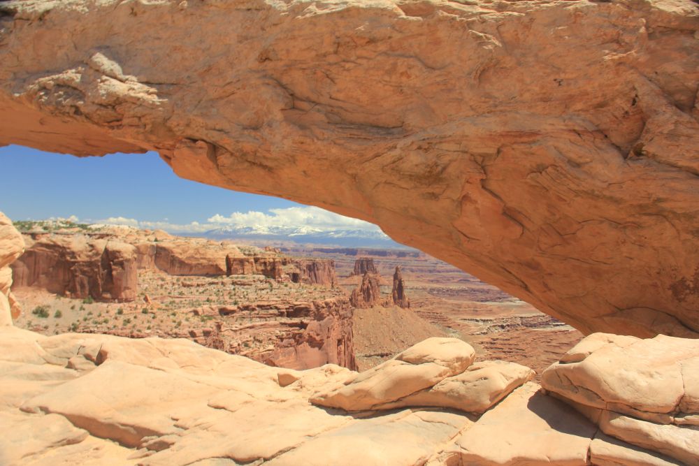 Outlook