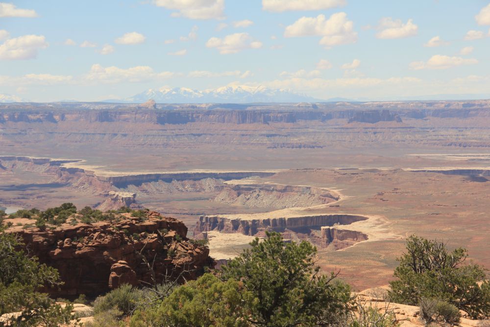 Outlook