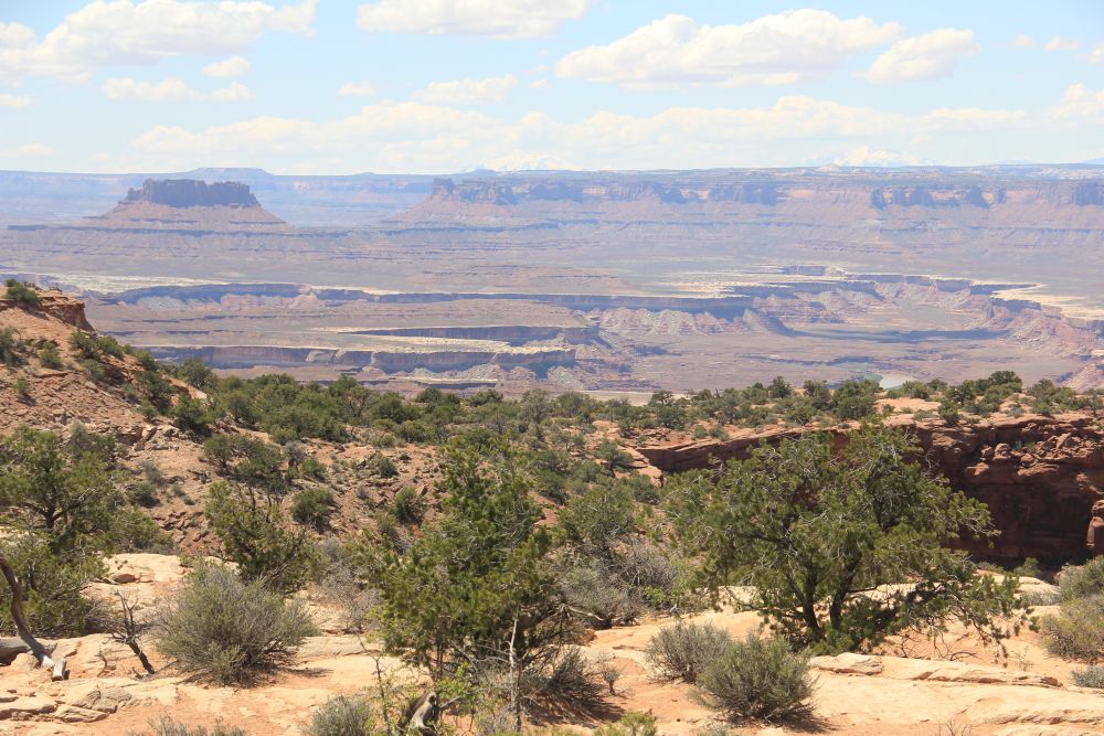 Outlook