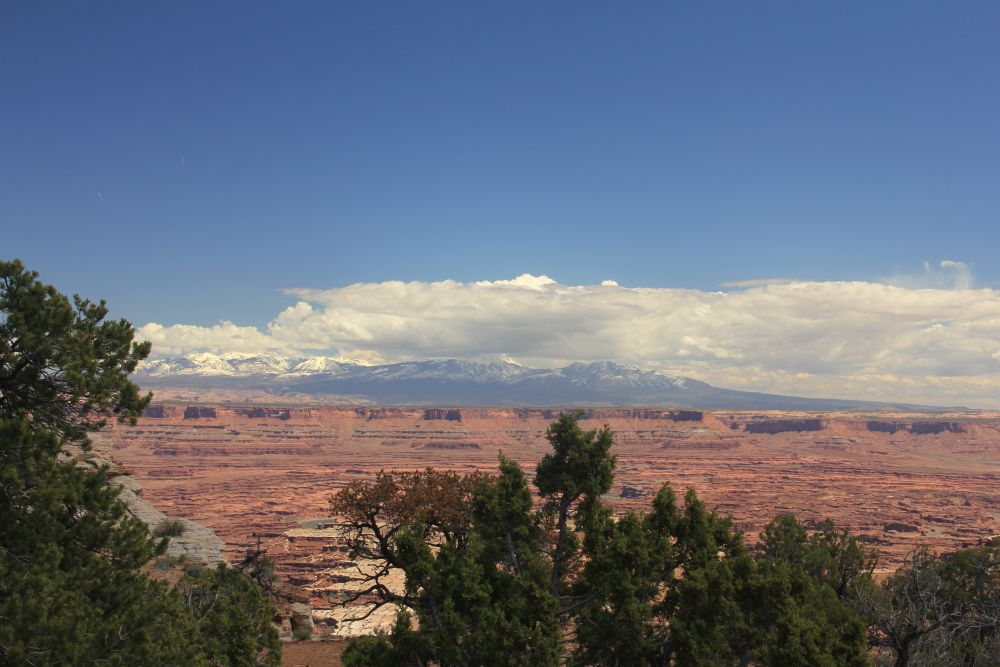 Outlook