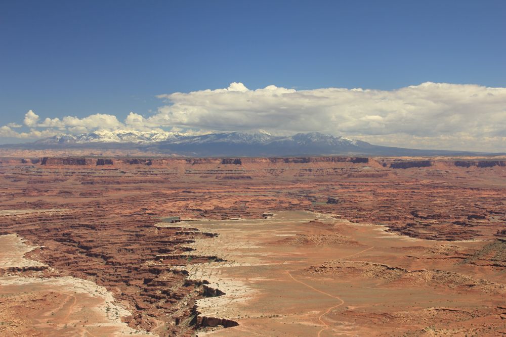 Outlook